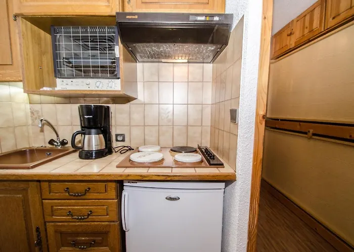 Cosy 3 Pers, Ski-in/ski-out Avec Wifi Et Animaux Admis - Fr-1-343-217 *